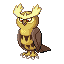 Noctowl