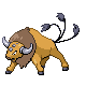 Tauros HGSS 2.png