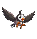 #026 Starly