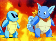 Squirtle y el líder del Equipo Wartortle.