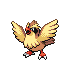 Pidgey HGSS 2.png