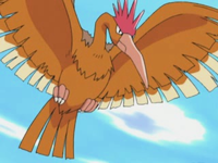 EP282 Fearow de Rico.png