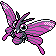 Venomoth