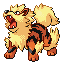 Imagen de Arcanine en Pokémon Rubí y Zafiro