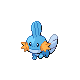 Imagen de Mudkip macho o hembra en Pokémon Platino