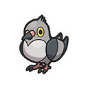 Icono de Pidove en Pokémon HOME