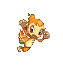 #115 Chimchar