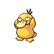 Psyduck