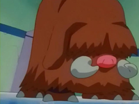 Piloswine de Pryce/Fredo