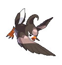 #027 Staravia