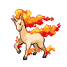 Rapidash