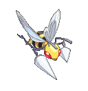 #177 Beedrill