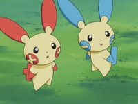 Plusle y Minun de Thatcher