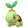 Turtwig