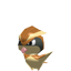 Pidgey