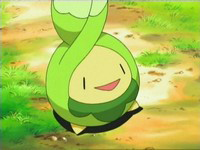 EP473 Budew de Nando.png