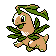 Bayleef