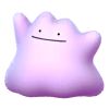 Ditto