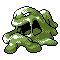 Muk plata variocolor.png