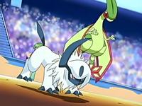 Flygon junto a Absol.