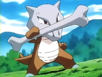 EP075 Marowak.png