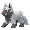 Poochyena