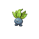 Imagen de Oddish macho o hembra en Pokémon Platino