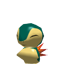 Cyndaquil