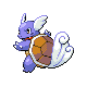 Wartortle