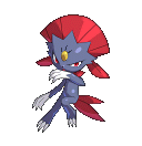 #182 Weavile