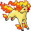 Rapidash