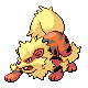 Imagen de Arcanine macho o hembra en Pokémon Diamante y Perla