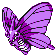 Venomoth