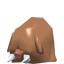 Piloswine