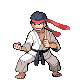 Karateka DP.png