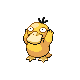 Psyduck HGSS 2.png