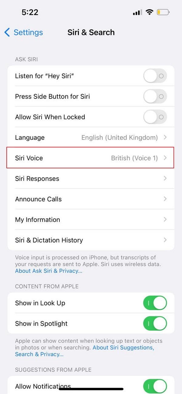 acesse a opção de voz da siri