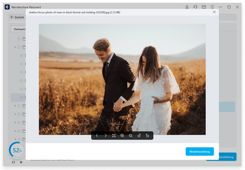 Vorschau der wiederhergestellten Fotos