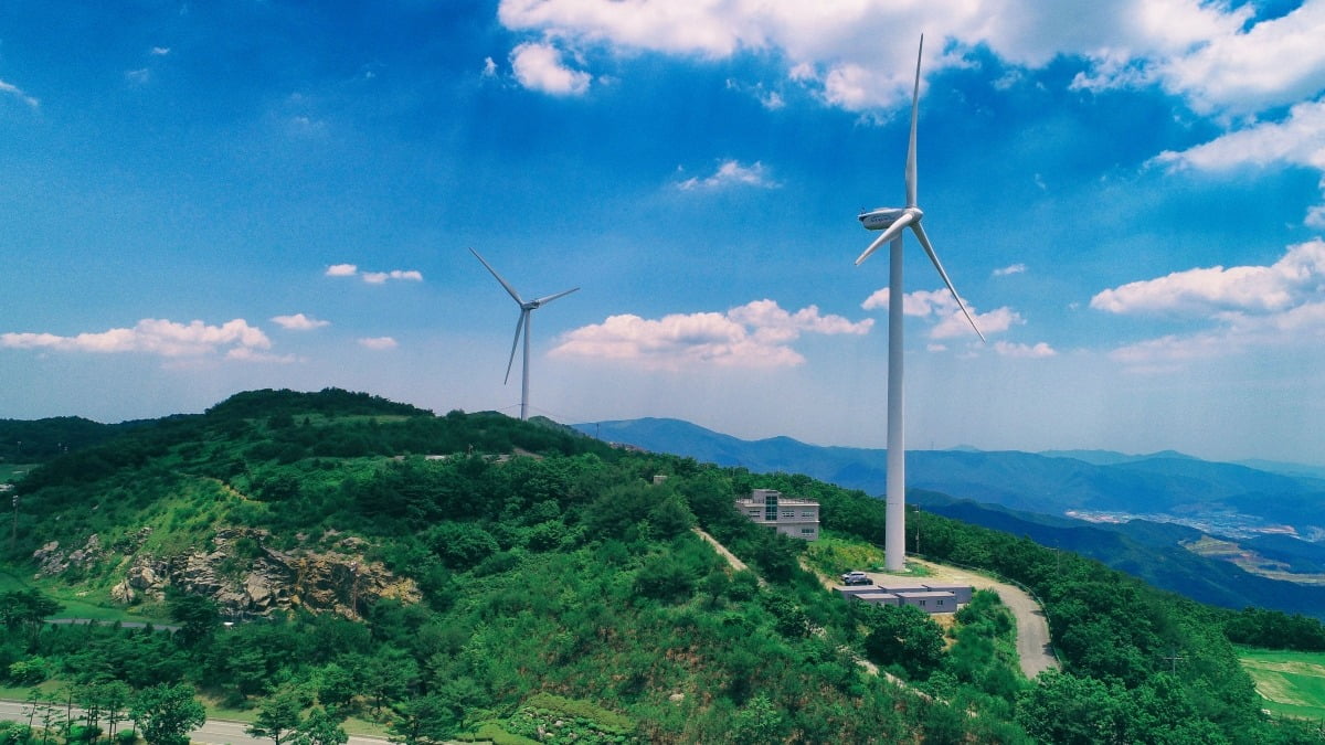 대명에너지는 현재 풍력 7개 발전소 단지를 운영 중이다. 대명에너지 제공