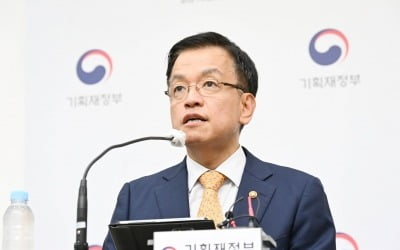 최상목 "티몬·위메프 상황 면밀히 점검…소비자 보호 노력"