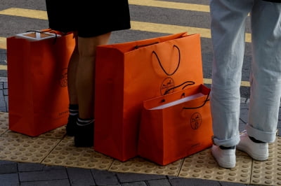 "명품백 맞아?" 조용한 럭셔리 열풍…요즘 없어서 못 산다 [한경제의 신선한 경제]