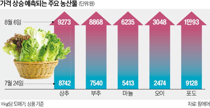 "쌈 싸 먹는 손님 보면 한숨 나올 판"…고깃집 사장님 어쩌나