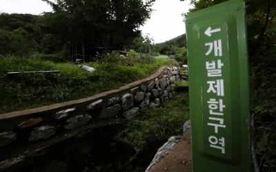 '서울 그린벨트 해제' 꺼내든 정부…전문가들 "굳이?"