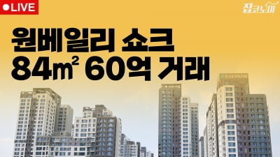 부동산뉴스 총정리  현실이 될 3.3㎡당 2억원 | 집코노미 타임즈