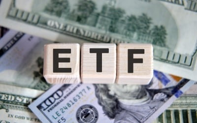 中 '대형 ETF'…美 투자자에 10년간 가장 큰 손실 안겼다