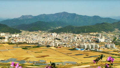 "서울 다 제쳤다"…집값 상승률 1위 동네 봤더니 