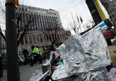 "서부지법 난동, 극우 유튜버 관련 있다면 수사할 것"