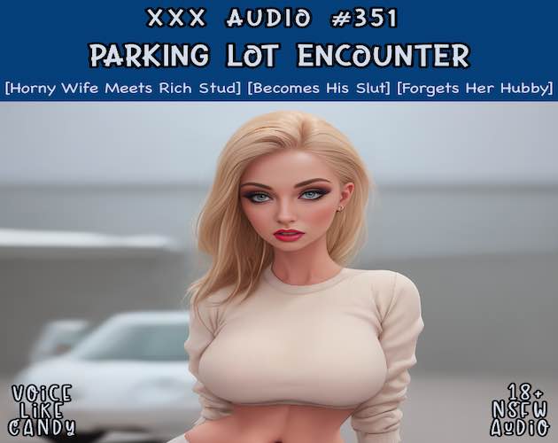 Audio #351 - Parking Lot Encounter