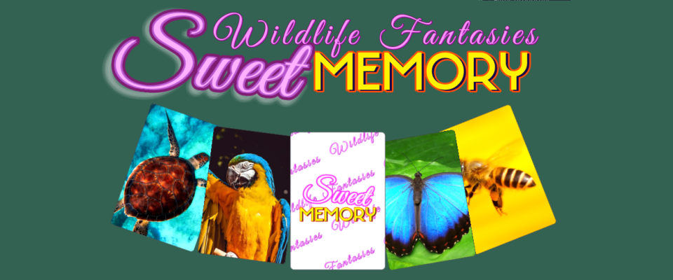 Sweet Memory - Wildlife Fantasies