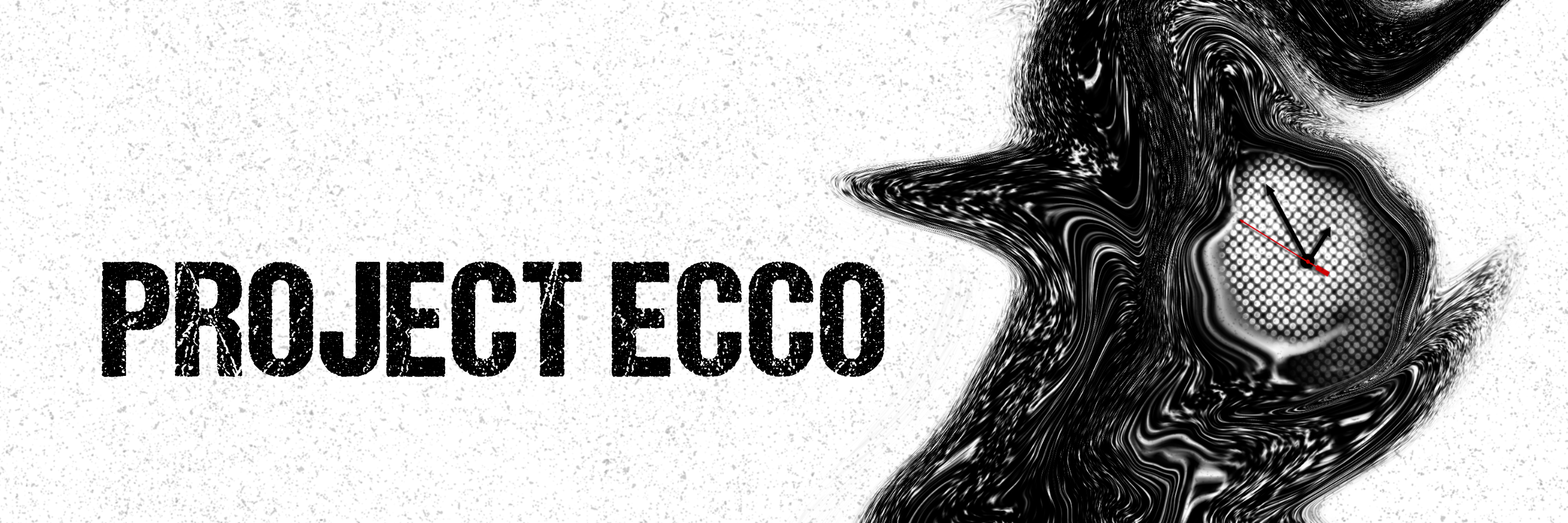 Project ECCO